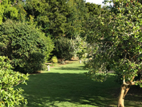 Bellmain House Garden
