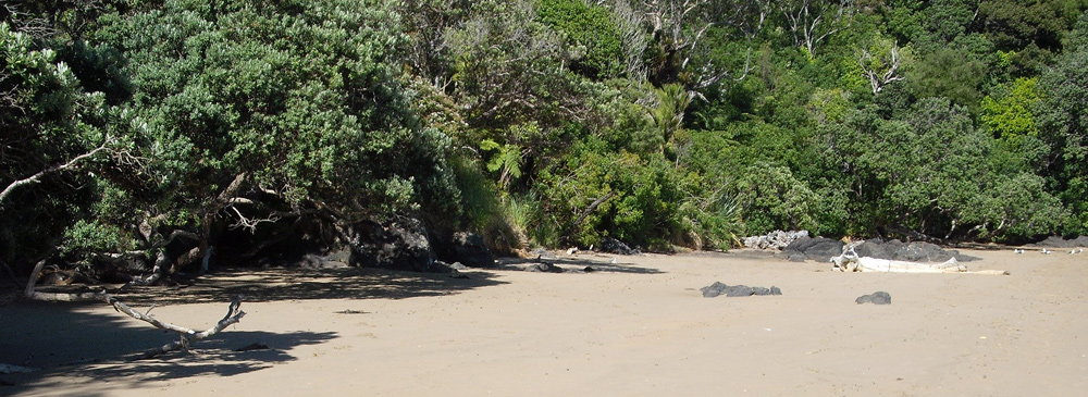 A Ngunguru Bay