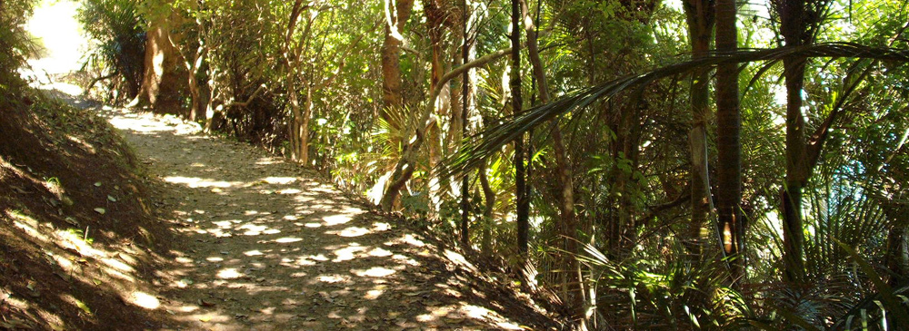 Whale Bay walkway