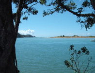 Ngunguru River