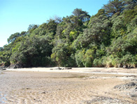 Tutukaka/Ngunguru Coast