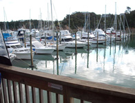 Tutukaka Marina