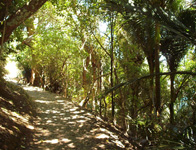 Tutukaka/Ngunguru Coast