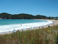 Matapouri Bay